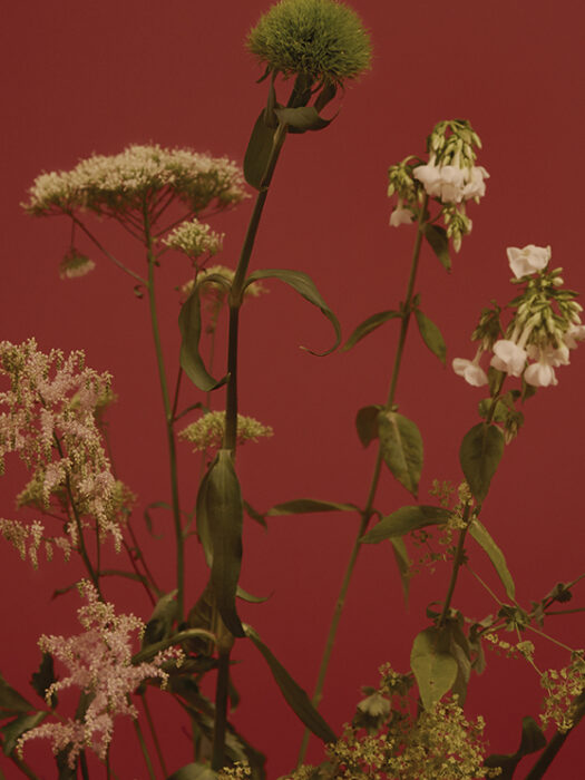 SHAWN PAUL - DUEL MAGAZINE